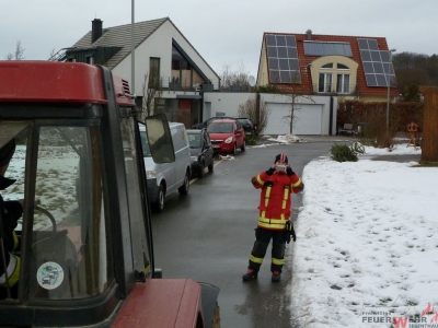 Weihnachtsbaumsammeln 2017_14