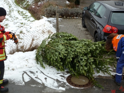 Weihnachtsbaumsammeln 2017_17