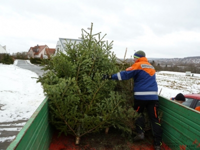 Weihnachtsbaumsammeln 2017_21