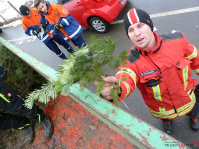 Weihnachtsbaumsammeln 2017_22