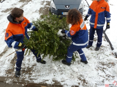 Weihnachtsbaumsammeln 2017_28