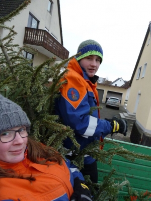 Weihnachtsbaumsammeln 2017_33