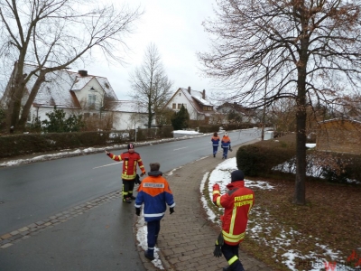 Weihnachtsbaumsammeln 2017_34