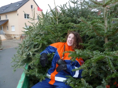 Weihnachtsbaumsammeln 2017_39