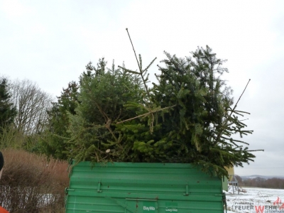 Weihnachtsbaumsammeln 2017_48