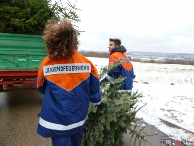 Weihnachtsbaumsammeln 2017_49