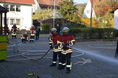 Leistungsprüfung 2017_24