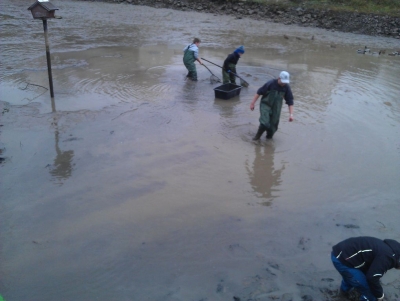 Abfischen 2013_2