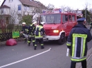 Leistungsprüfung