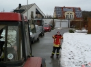 Weihnachtsbaumsammeln 2017